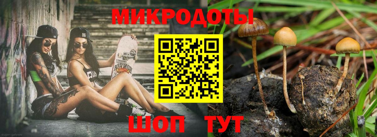 Галлюциногенные грибы GOLDEN TEACHER Минусинск