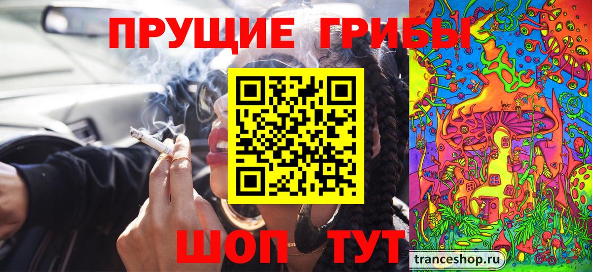 Минусинск  Галлюциногенные грибы GOLDEN TEACHER  как найти закладки  Вход с VPN 