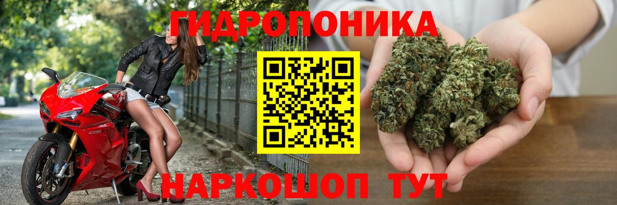 Канабис план Минусинск